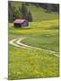 Alpine field with cabin, Bad Hindelang, Deutsche Alpenstrasse, Bayern-Bavaria, Germany-Walter Bibikow-Mounted Photographic Print