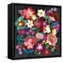 Alpine Florals-Danhui Nai-Framed Stretched Canvas