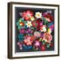 Alpine Florals-Danhui Nai-Framed Art Print