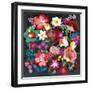 Alpine Florals-Danhui Nai-Framed Art Print