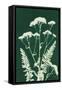 Alpine Flower I Green-Kathy Ferguson-Framed Stretched Canvas