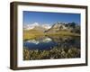 Alpine Flowers and Perfect Reflection in Lake at Schwarzee Paradise, Switzerland, Europe-Christian Kober-Framed Photographic Print