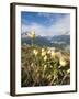 Alpine Flowers and Views of Celerina and St. Moritz from Atop Muottas Muragl, Switzerland-Michael DeFreitas-Framed Photographic Print