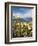 Alpine Flowers and Views of Celerina and St. Moritz from Atop Muottas Muragl, Switzerland-Michael DeFreitas-Framed Photographic Print