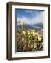 Alpine Flowers and Views of Celerina and St. Moritz from Atop Muottas Muragl, Switzerland-Michael DeFreitas-Framed Photographic Print