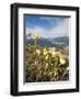 Alpine Flowers and Views of Celerina and St. Moritz from Atop Muottas Muragl, Switzerland-Michael DeFreitas-Framed Photographic Print