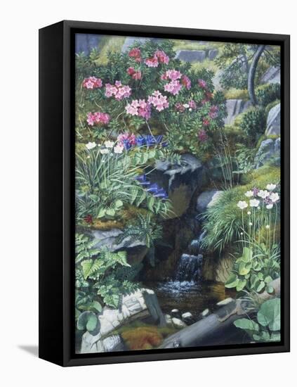 Alpine Flowers by a Stream-Otto Didrik Ottesen-Framed Stretched Canvas