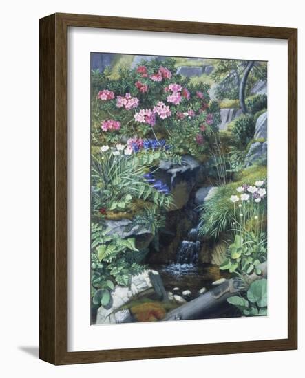 Alpine Flowers by a Stream-Otto Didrik Ottesen-Framed Giclee Print