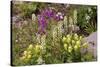 Alpine Flowers In Wyoming, USA-Bob Gibbons-Stretched Canvas