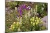 Alpine Flowers In Wyoming, USA-Bob Gibbons-Mounted Premium Photographic Print