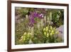 Alpine Flowers In Wyoming, USA-Bob Gibbons-Framed Photographic Print