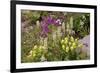 Alpine Flowers In Wyoming, USA-Bob Gibbons-Framed Photographic Print