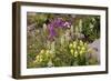 Alpine Flowers In Wyoming, USA-Bob Gibbons-Framed Photographic Print