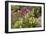 Alpine Flowers In Wyoming, USA-Bob Gibbons-Framed Photographic Print