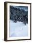 Alpine Flurry-Craig Howarth-Framed Photographic Print