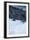 Alpine Flurry-Craig Howarth-Framed Photographic Print