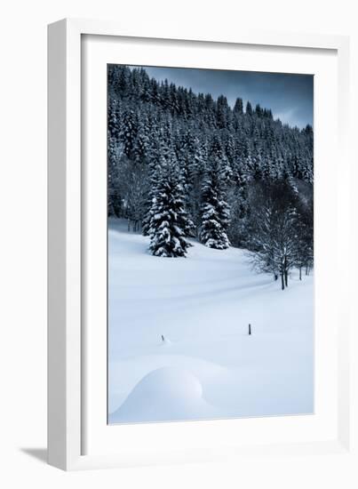 Alpine Flurry-Craig Howarth-Framed Photographic Print