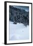 Alpine Flurry-Craig Howarth-Framed Photographic Print