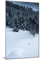 Alpine Flurry-Craig Howarth-Mounted Photographic Print