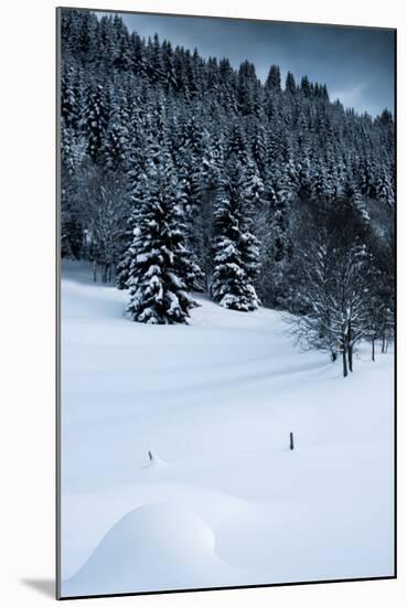 Alpine Flurry-Craig Howarth-Mounted Photographic Print