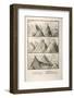 Alpine Geology Flood Evidence Scheuchzer.-Stewart Stewart-Framed Photographic Print