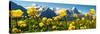 Alpine Globeflower Meadows at 6000 Ft with the Eiger Behind. First, Grindelwald, Bernese Alps-Paul Williams-Stretched Canvas