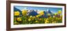 Alpine Globeflower Meadows at 6000 Ft with the Eiger Behind. First, Grindelwald, Bernese Alps-Paul Williams-Framed Photographic Print