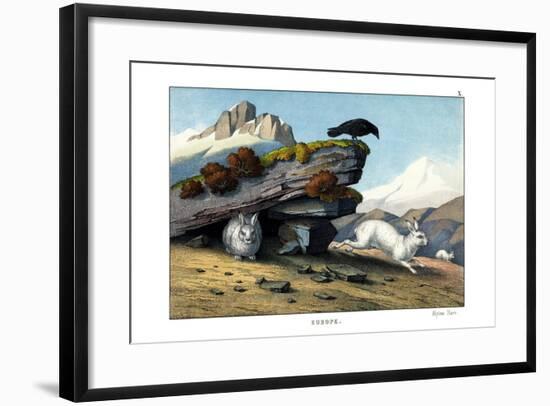 Alpine Hare, 1860-null-Framed Giclee Print