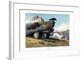 Alpine Hare, 1860-null-Framed Giclee Print