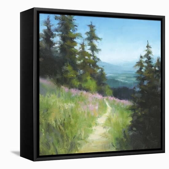 Alpine Hike-David Marty-Framed Stretched Canvas