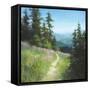 Alpine Hike-David Marty-Framed Stretched Canvas