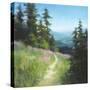 Alpine Hike-David Marty-Stretched Canvas