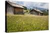 Alpine Huts at the Plateau of the Pralongia, St. Kassian, Val Badia, South Tyrol, Italy, Europe-Gerhard Wild-Stretched Canvas