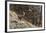 Alpine ibex (capra ibex), Valsavarenche, Gran Paradiso National Park, Aosta Valley, Italy.-Sergio Pitamitz-Framed Photographic Print