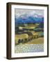 Alpine Impression II-Victoria Borges-Framed Art Print