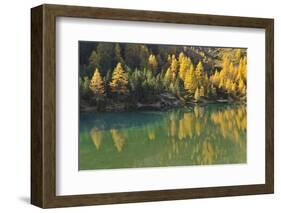 Alpine Lake in Autumn, Lake Palquognasee, Lai Da Palquogna, Albula-Pass, Grisons, Switzerland-Raimund Linke-Framed Photographic Print
