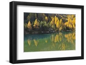 Alpine Lake in Autumn, Lake Palquognasee, Lai Da Palquogna, Albula-Pass, Grisons, Switzerland-Raimund Linke-Framed Photographic Print
