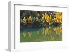 Alpine Lake in Autumn, Lake Palquognasee, Lai Da Palquogna, Albula-Pass, Grisons, Switzerland-Raimund Linke-Framed Photographic Print