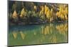 Alpine Lake in Autumn, Lake Palquognasee, Lai Da Palquogna, Albula-Pass, Grisons, Switzerland-Raimund Linke-Mounted Photographic Print