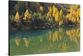 Alpine Lake in Autumn, Lake Palquognasee, Lai Da Palquogna, Albula-Pass, Grisons, Switzerland-Raimund Linke-Stretched Canvas