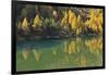 Alpine Lake in Autumn, Lake Palquognasee, Lai Da Palquogna, Albula-Pass, Grisons, Switzerland-Raimund Linke-Framed Photographic Print