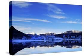 Alpine Lake in the Winter, Austria, Europe-Sabine Jacobs-Stretched Canvas