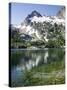 Alpine Lake, Sawtooth National Recreation Area, Idaho, USA-Jamie & Judy Wild-Stretched Canvas