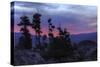 Alpine Lake Tree Silhouettes at Sunrise-Vincent James-Stretched Canvas