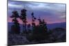 Alpine Lake Tree Silhouettes at Sunrise-Vincent James-Mounted Photographic Print