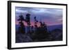 Alpine Lake Tree Silhouettes at Sunrise-Vincent James-Framed Photographic Print