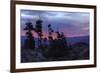 Alpine Lake Tree Silhouettes at Sunrise-Vincent James-Framed Photographic Print