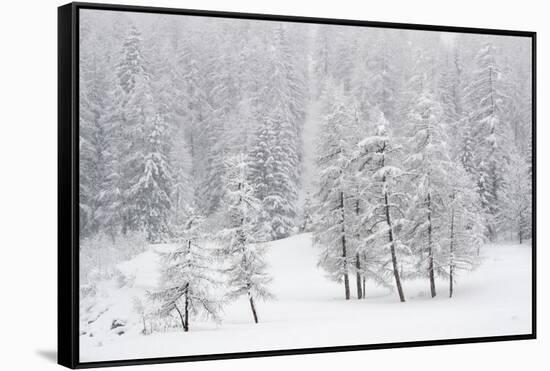 Alpine landscape, Gran Paradiso National Park, Italy-David Pattyn-Framed Stretched Canvas