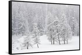 Alpine landscape, Gran Paradiso National Park, Italy-David Pattyn-Framed Stretched Canvas