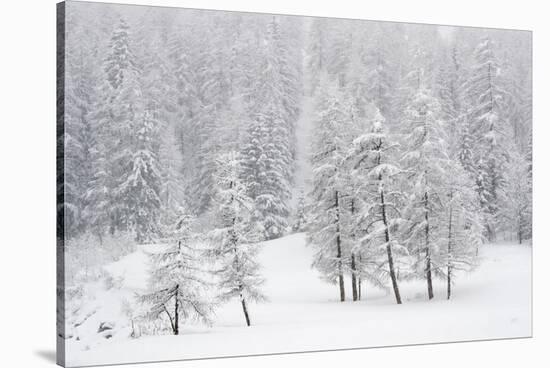 Alpine landscape, Gran Paradiso National Park, Italy-David Pattyn-Stretched Canvas